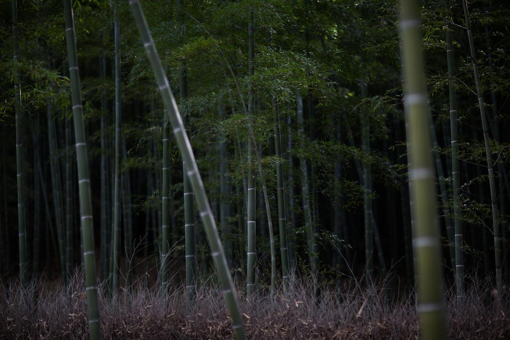 Kyoto Fushimi Ohana Muko Zewnętrze zdjęcie